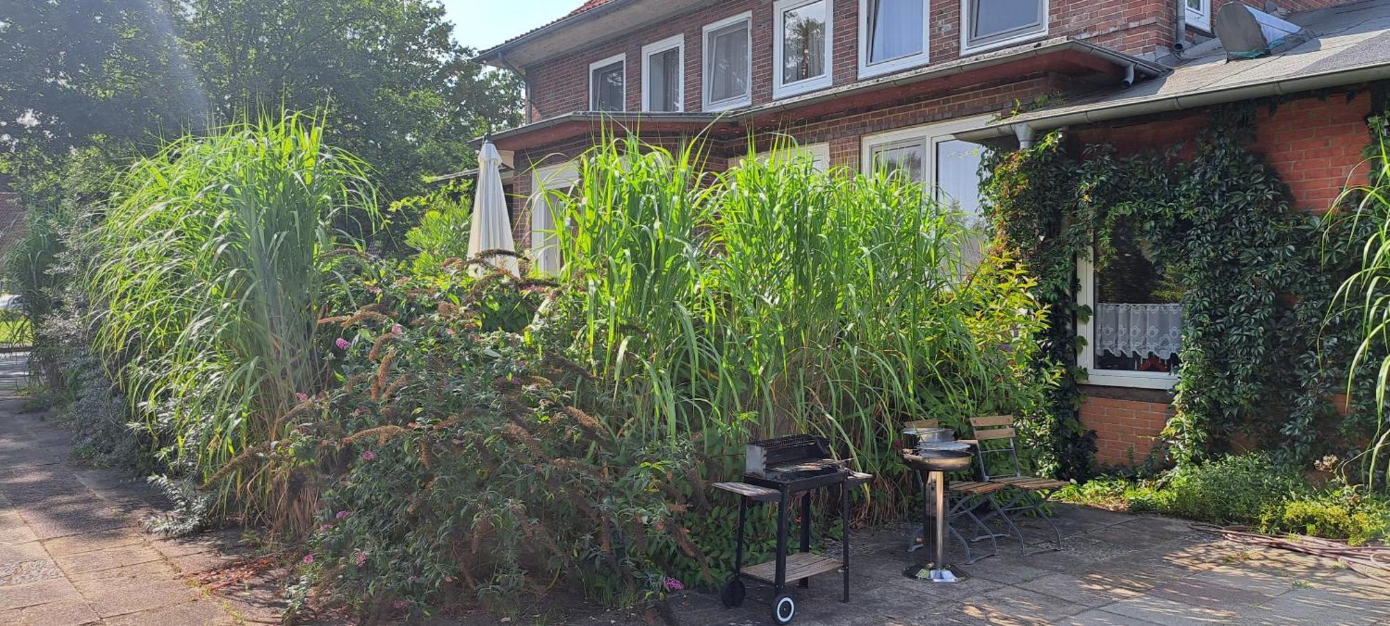 Schillers Landhaus Neu Darchau Kültér fotó
