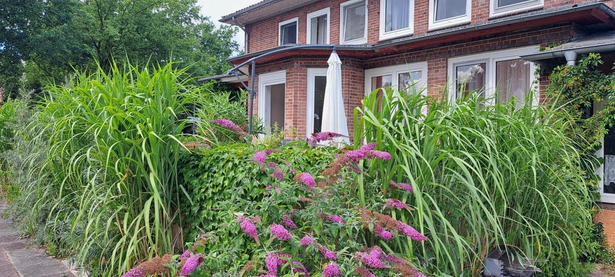 Schillers Landhaus Neu Darchau Kültér fotó